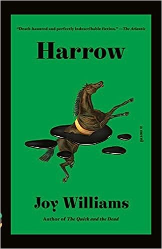 Harrow by Joy Williams