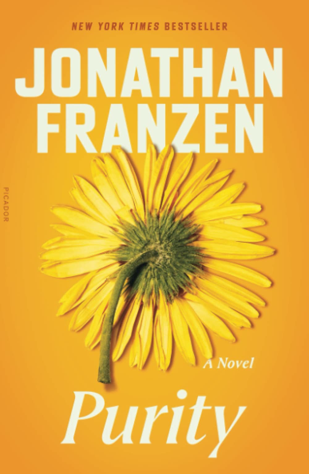 Purity by Jonathan Franzen