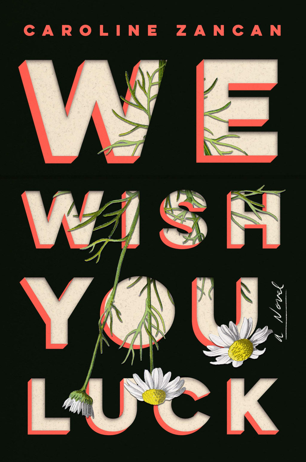 We Wish You Luck by Caroline Zancan